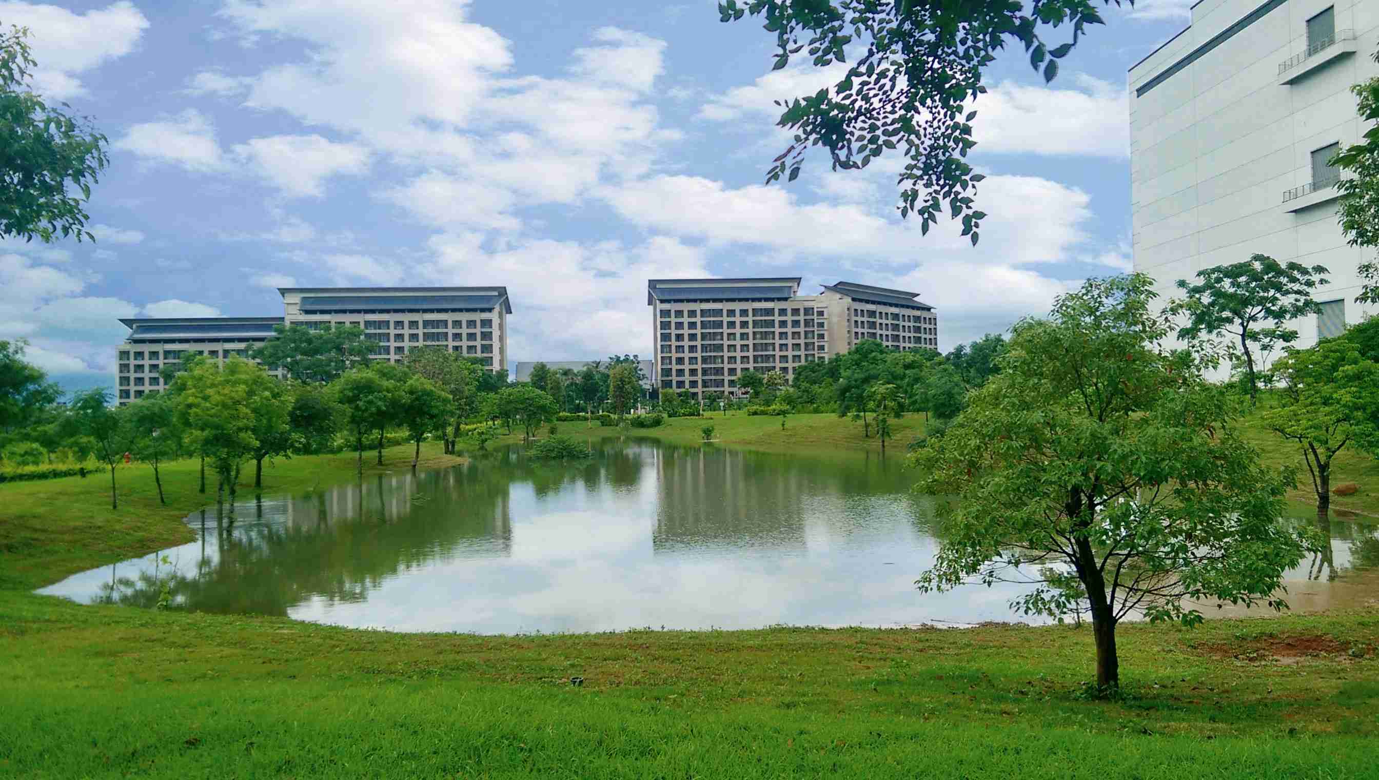 开云电子响应国际倡议生物多样性趋势，，，首次发布TNFD自然相关财务揭露报告书，，，，擘划及开展开云电子生物多样性政策之承诺，，，，逐步迈向与自然和谐共生